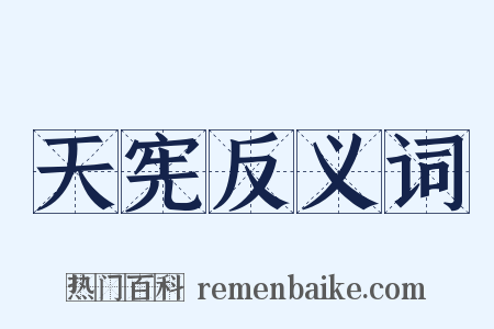 天宪反义词是什么意思的图片